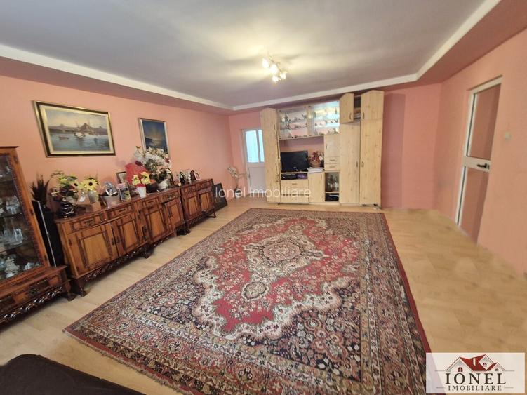Vanzare casa in Vintu de Jos - Parau lui Mihai - 3