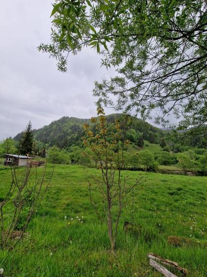 Teren intravilan - Rucar - Satic - 1775 mp - la strada principala - deschidere