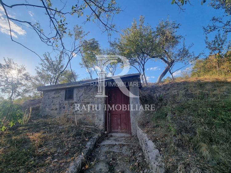 Casă renovata cu teren generos | Anexe | Gurasada | Hunedoara - 28