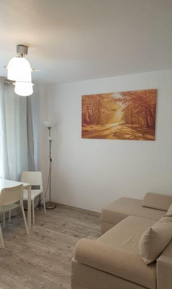 Apartament 2 camere Cismigiu / Str. Ion Campineanu