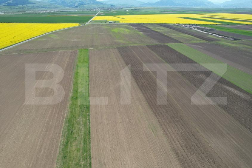 Teren extravilan, 17700mp, zona Prejmer