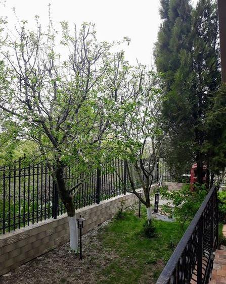 Vila de vanzare   Iancu Nicolae   Serban Cantacuzino - 6