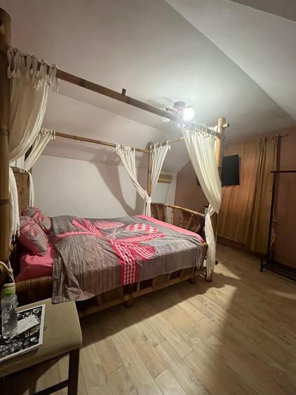Vand casa individuala Dobroiesti