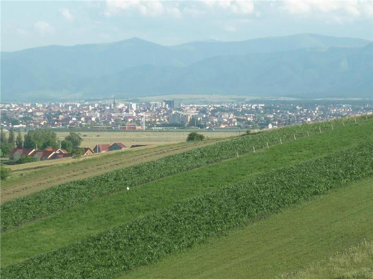 Teren 5000mp cu livada in Sura Mare - panorama deosebita