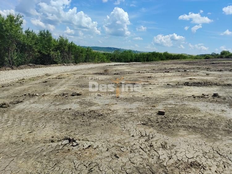 TEREN intravilan - PROSELNICI 655 MP, 19.900 EURO