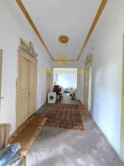 Vila - Ferdinand - Armeneasca -Pache Protopopescu