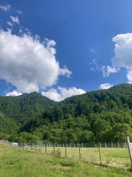 Teren intravilan 4.000 mp – Râul Mare Retezat, lângă Barajul Gura Apelor