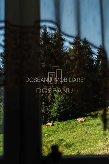 PENSIUNE | DE VANZARE | VARTOP - ARIESENI - 17