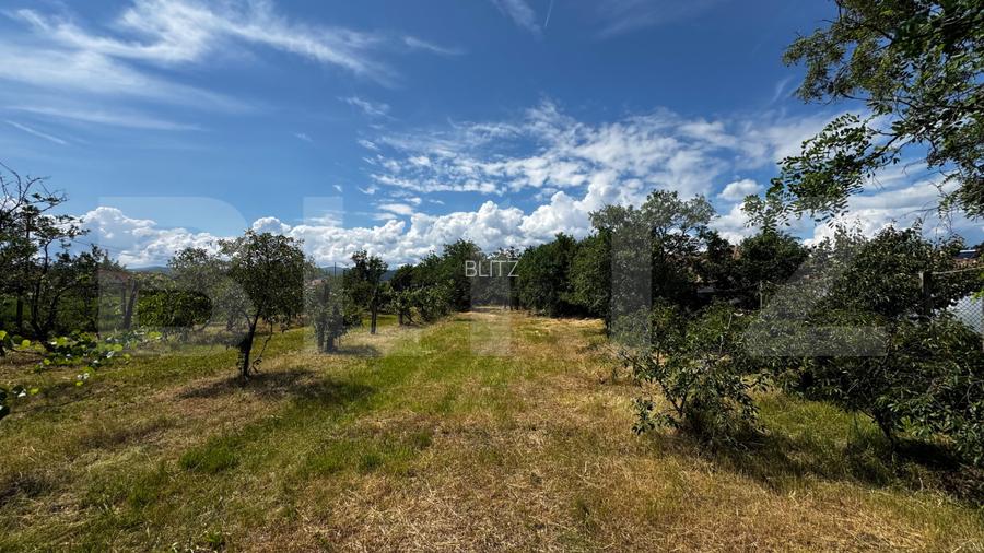 Proprietate de vanzare, 60 mp, teren 1.600 mp, Vintu de Jos - 3