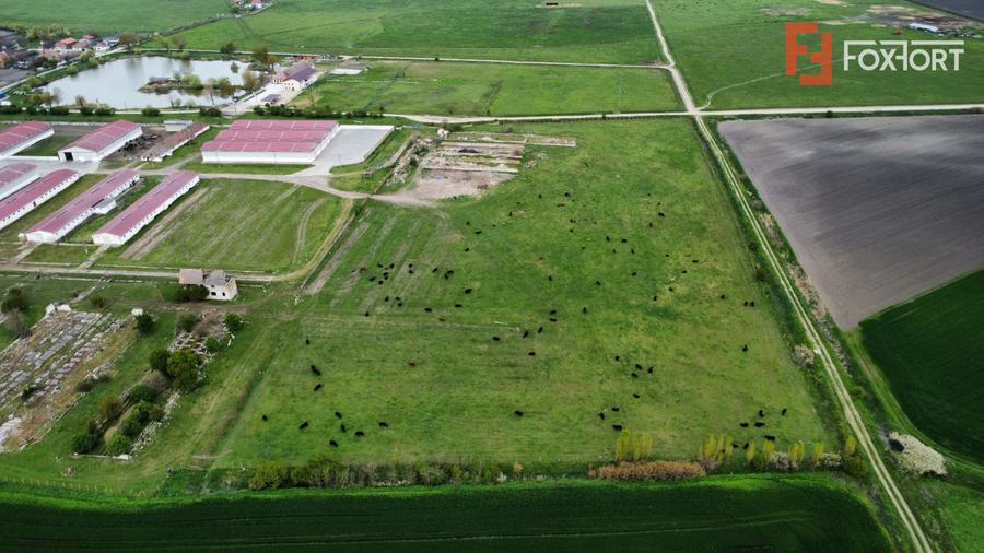 Teren intravilan cu suprafata de 58.340 mp, in Sanmartinul Sarbesc