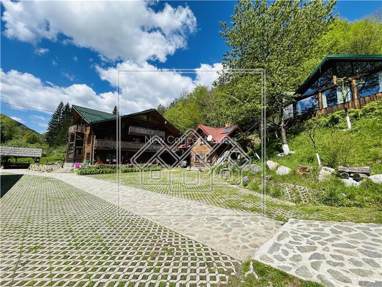 Complex turistic complet functional-zona Raul Sadului-afacere la cheie - 8