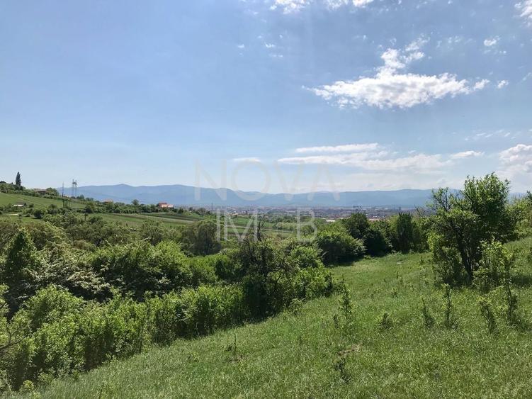 Teren extravilan - 8000 mp, Gusterita