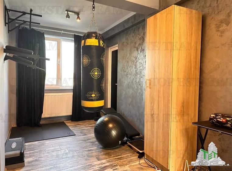 Vila moderna + casa renovata cu 2 apartamente si teren generos - Palazu Mare ,