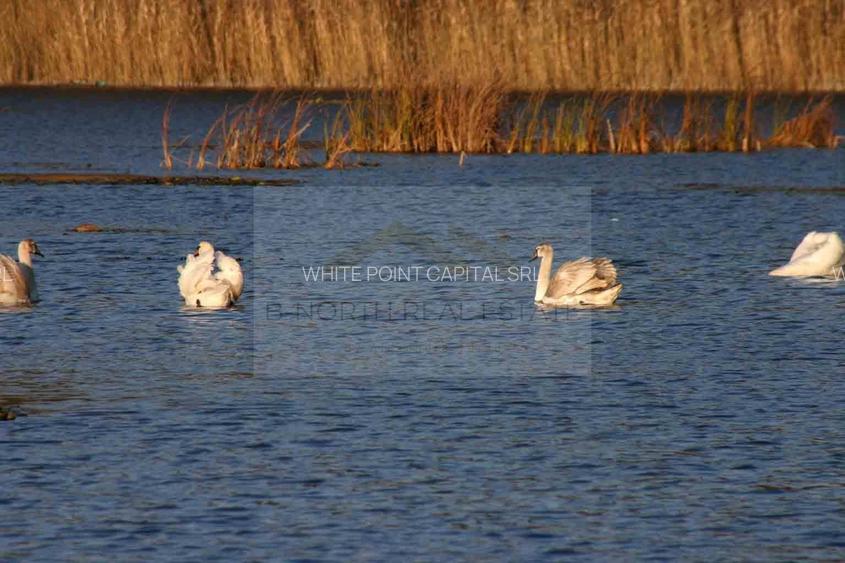 Reședință exclusivistă cu deschidere la Lacul Scroviștea - 12