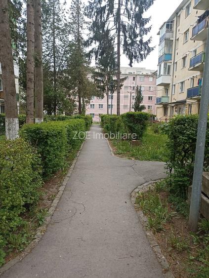 De vânzare apartament cu 3 camere în Sfântu Gheorghe - 10