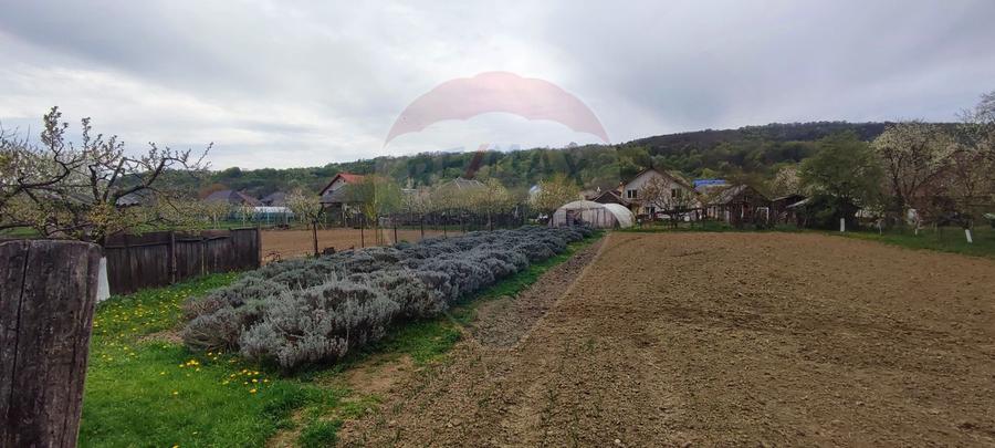 Gospodarie de Vanzare Gardani