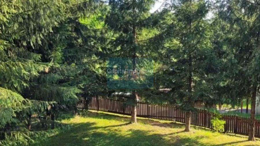 Proprietate Unică în Inima Naturii – Galaoaia, Mureș  - 4