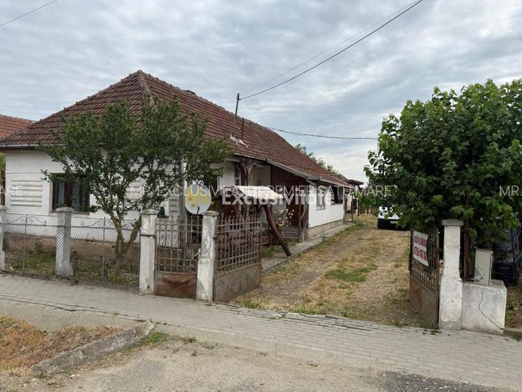 Casa de vânzare in Livada , Satu Mare - 19