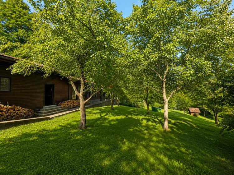 Mountain Chalet | Private Resort | Investment - Nistoresti