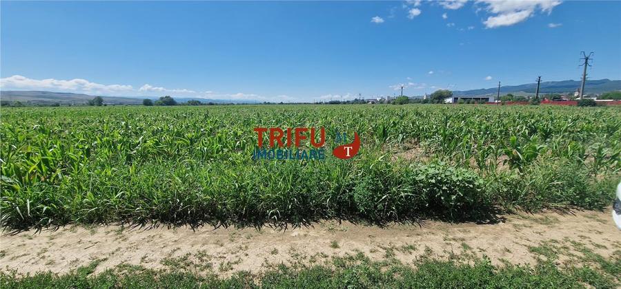 Teren de vanzare langa soseaua de centura, 5100 mp