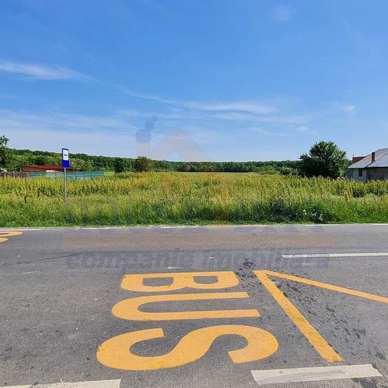 Vanzare teren intravilan Ciolpani, 1500 mp, toate utilitatile