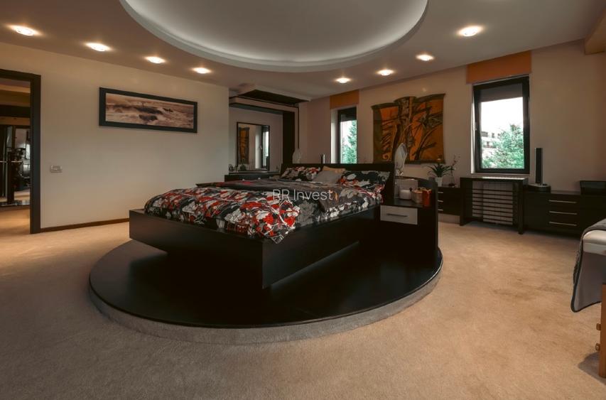 Vila grandioasa, Gradina Japoneza, SPA, Crama, Teren Tenis, Foisor, Iaz Pesti - 7
