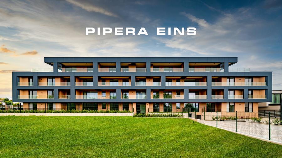 Pipera Eins