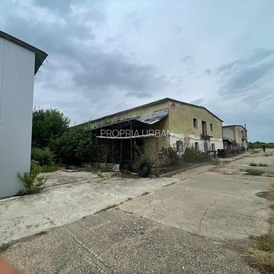 Complex industrial/Ferma de vânzare | Orțișoara, jud. Timiș - 32
