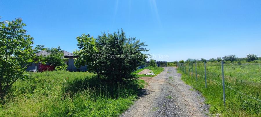 Lot pentru două case – Corbeanca Tamași - 14