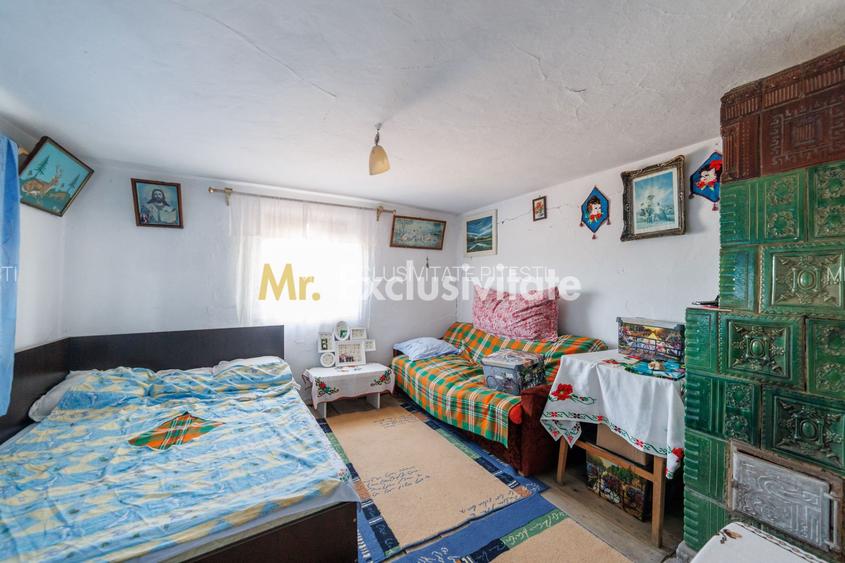 CASA SI GOSPODARIE DE VANZARE – SPINENI, OLT | 4.000 MP TEREN - 11