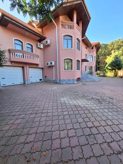 Vanzare Vila langa padure/ Iancu Nicolae