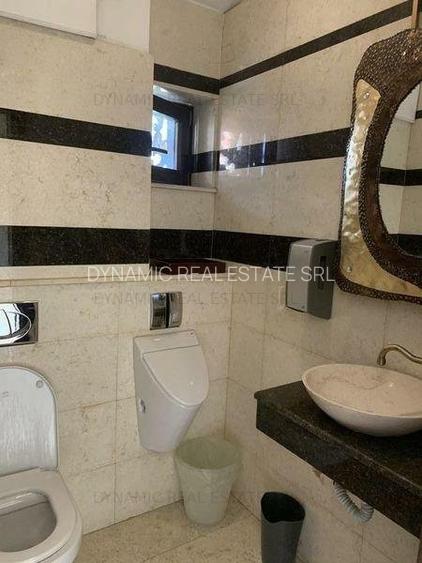 Cismigiu - Vila - Spatiu Birou - 10 Camere - Centrala - 15
