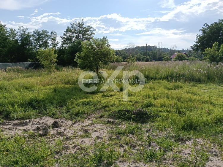 TEREN INTRAVILAN 712 MP | 17 ML DESCHIDERE | UTILITĂȚI | APROAPE DE COSTEȘTI - 8