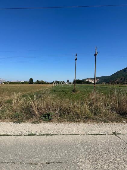 Teren industrial,Cucului-INA-Avicola