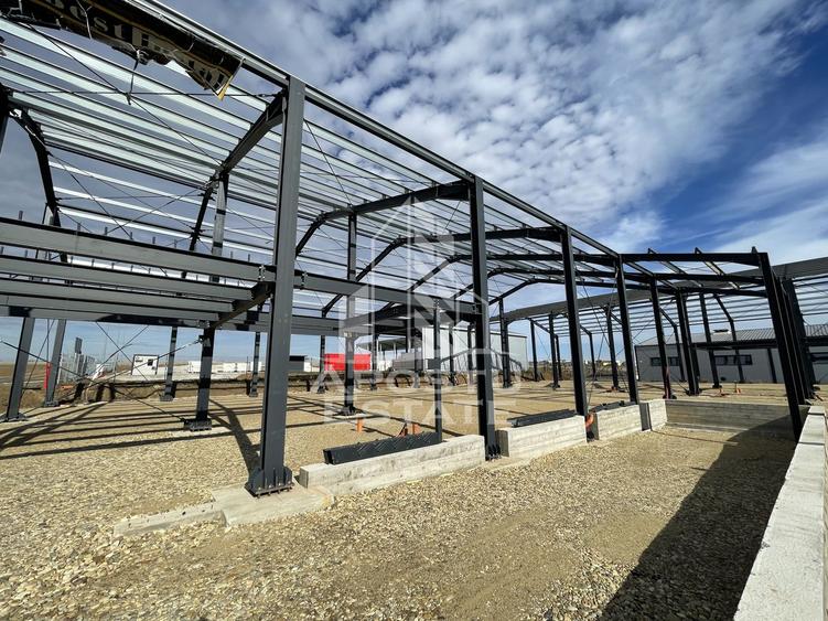 Hala noua cu rampa tir, 540 mpu, Giarmata