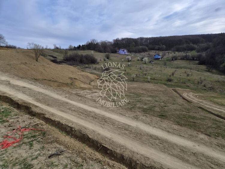 Teren extravilan 1500 mp, 5 min de centru, ideal Cabana, invetitie