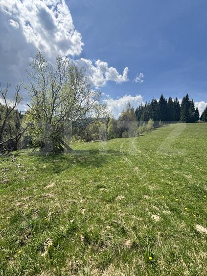 Teren în Vatra Dornei, str Roșu, 8450 mp, extravilan + intravilan