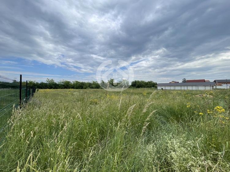 Teren intravilan PUZ Aprobat în Cristian, Sibiu – 3100 mp