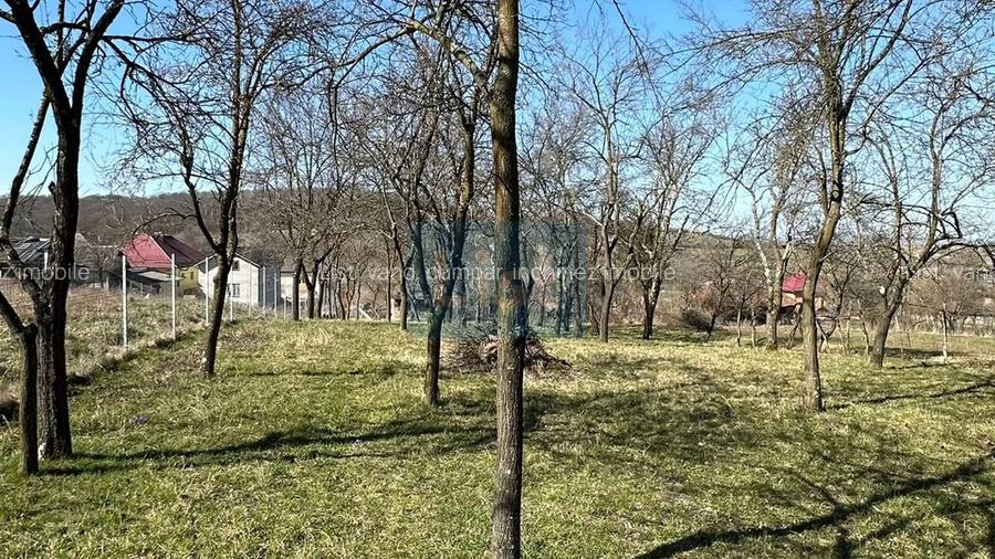 Casă din cărămidă, teren 33 ari, aproape de padure, Manau, Maramureș - 5