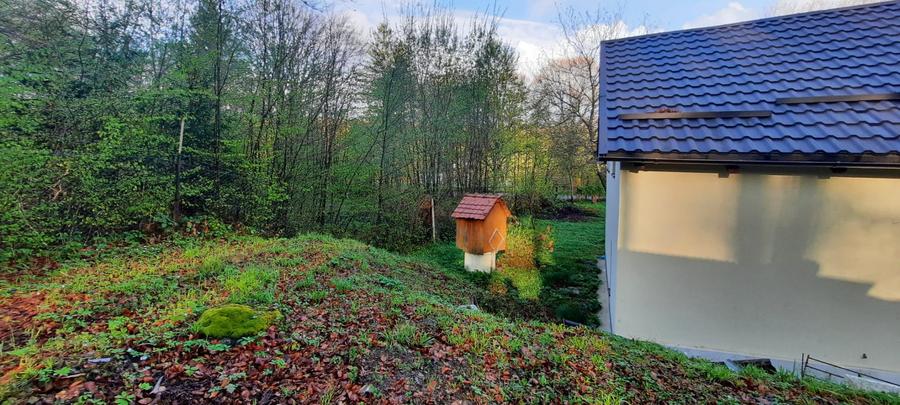 Cabana 4 camere zona Valea Avrigului
