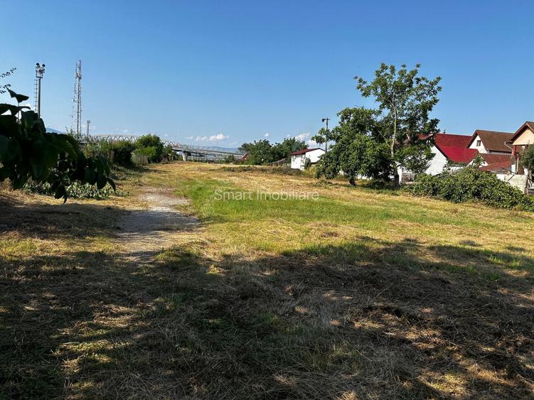 Teren intravilan 16058 mp + hale Calea Surii Mici - 6
