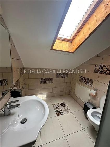 Spatiu comercial / birou de inchiriat, 40 mp, Pacurari - 6