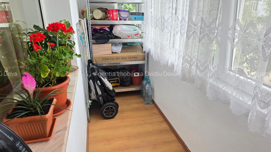 Vand apartament 2 camere in Deva, Gojdu (scoala Andrei Saguna), et. 1, - 10