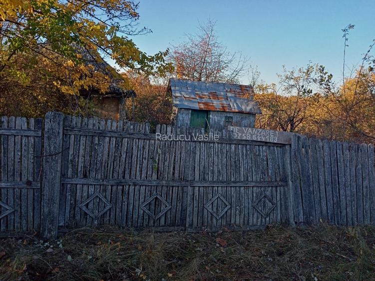 Vînd teren in Cuca Arges Loc Bălțata  - 2