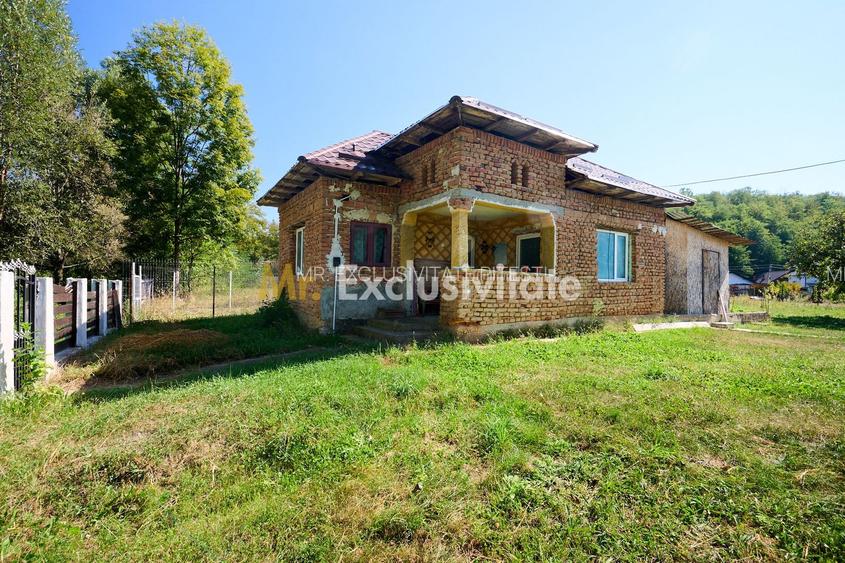 Proprietate deosebita cu doua case si teren generos – Cosesti, Arges - 9