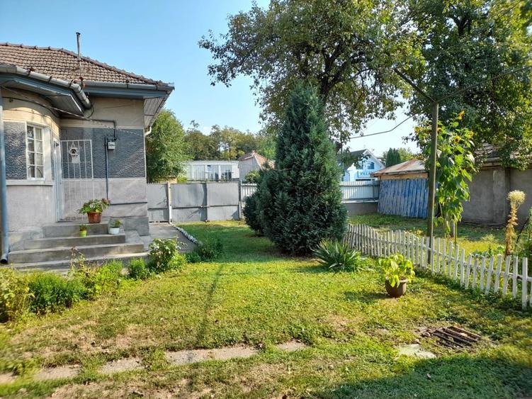 Vand  pe Gh.Doja casa cu 4 camere,917 mp teren