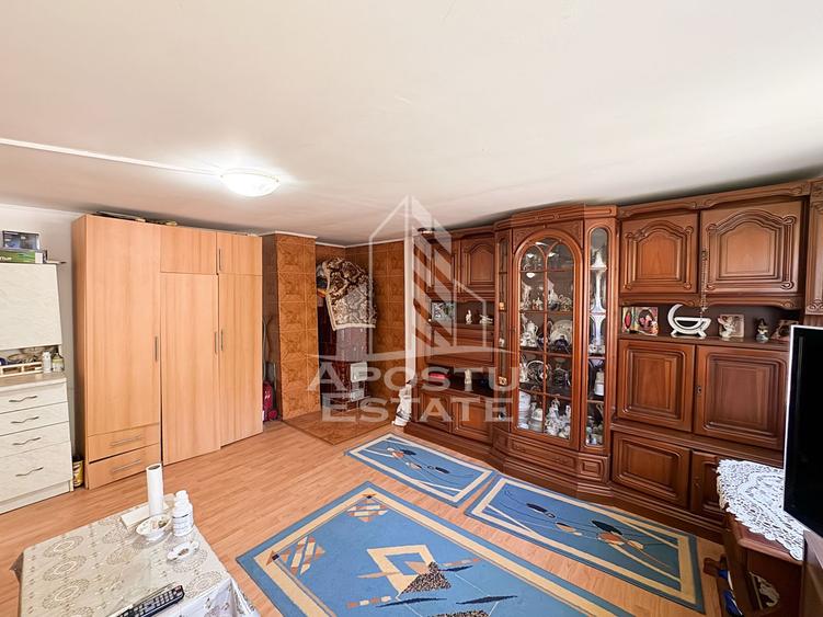 Casa batraneasca renovata, iesire la rau, in Toplita, Hunedoara