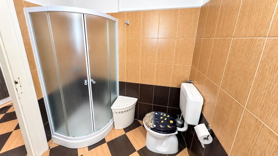 De vânzare/ închiriat Apartament istoric, 2 camere, Central Arad