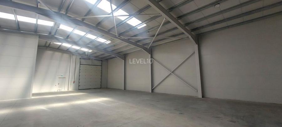 Depozite de inchiriat TBM Grup industrial park Chitila | Acces TIR - 6