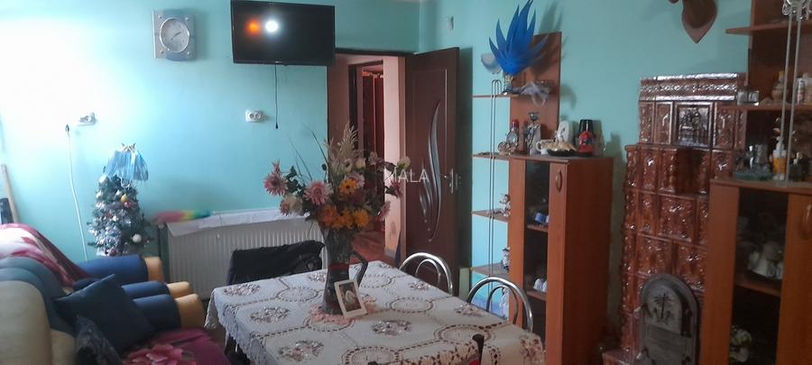 Casa in Finta sat Bechinesti - 9
